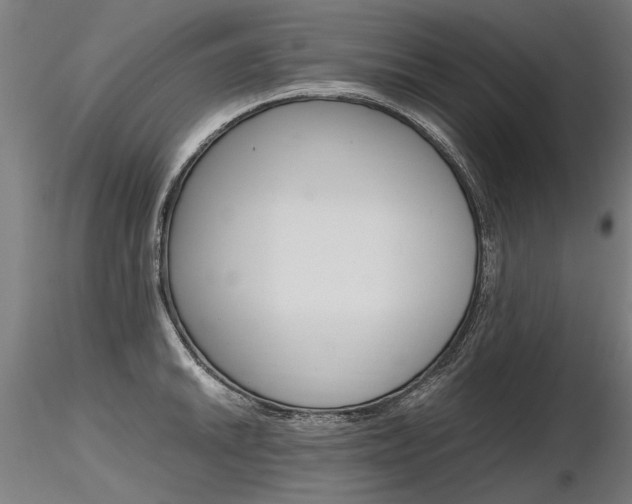 X0000116801046200912181113