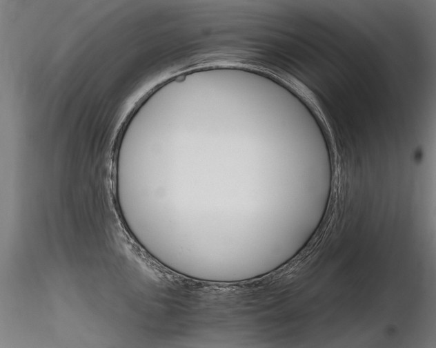 X0000116801051200912181113
