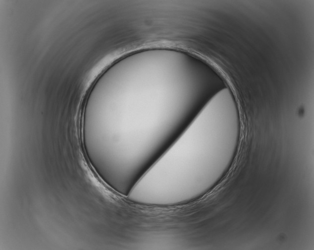 X0000116801054200912181113