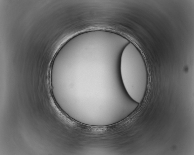 X0000116801055200912181113