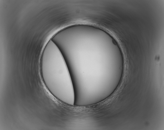 X0000116801056200912181113