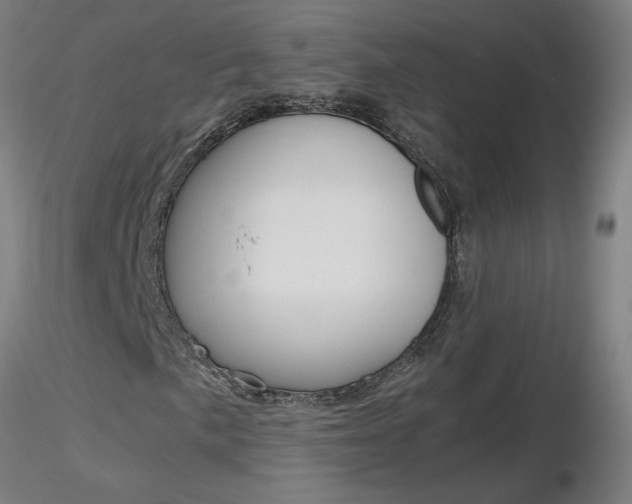 X0000116801057200912181113