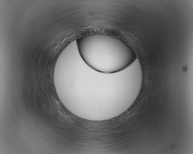 X0000116801060200912181113