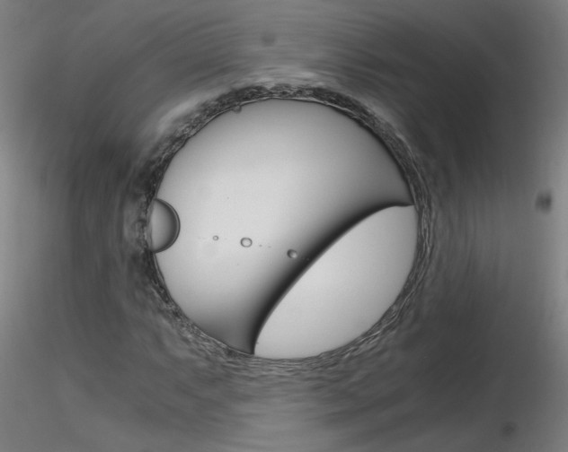 X0000116801063200912181113