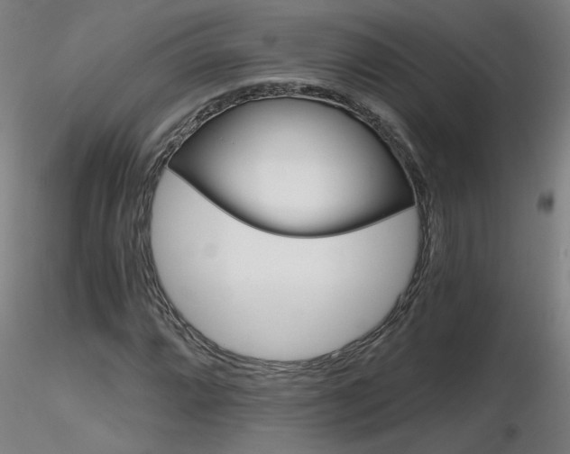 X0000116801064200912181113