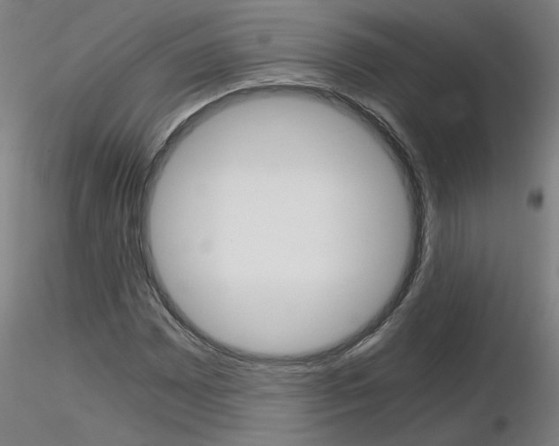 X0000116801065200912181113