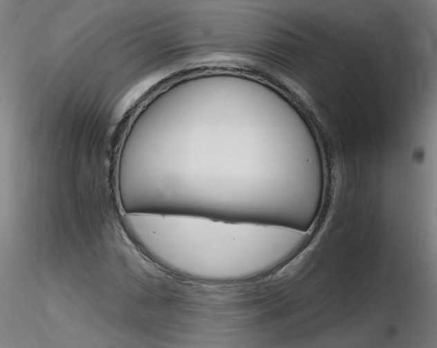X0000116801066200912181113