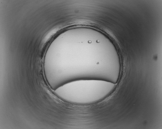 X0000116801067200912181113