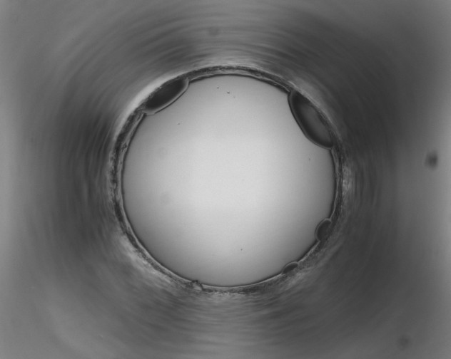 X0000116801068200912181113