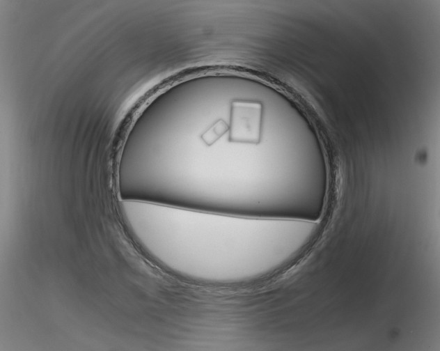 X0000116801069200912181112
