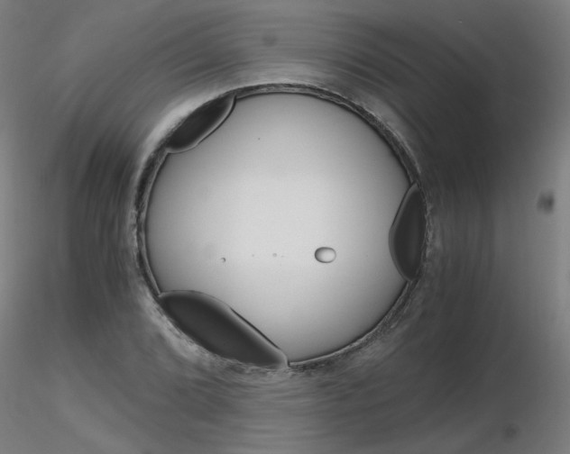 X0000116801072200912181112