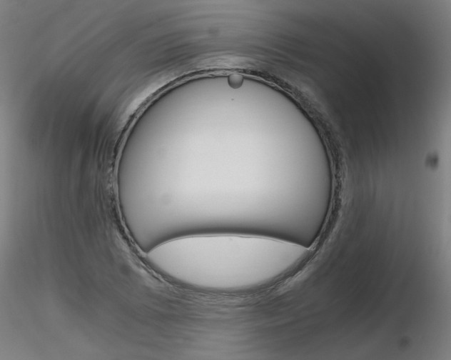 X0000116801073200912181112