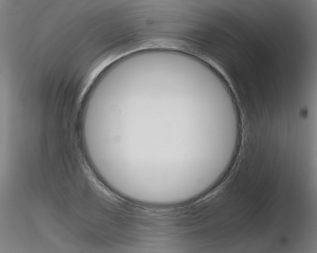 X0000116801075200912181112