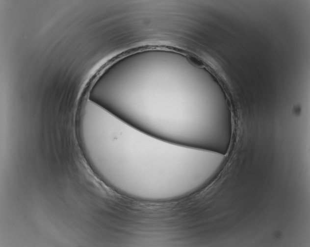 X0000116801076200912181112