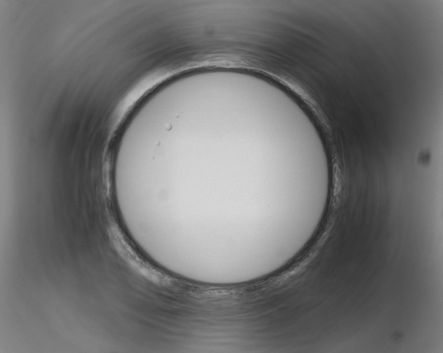 X0000116801078200912181112