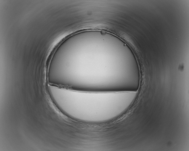 X0000116801079200912181112