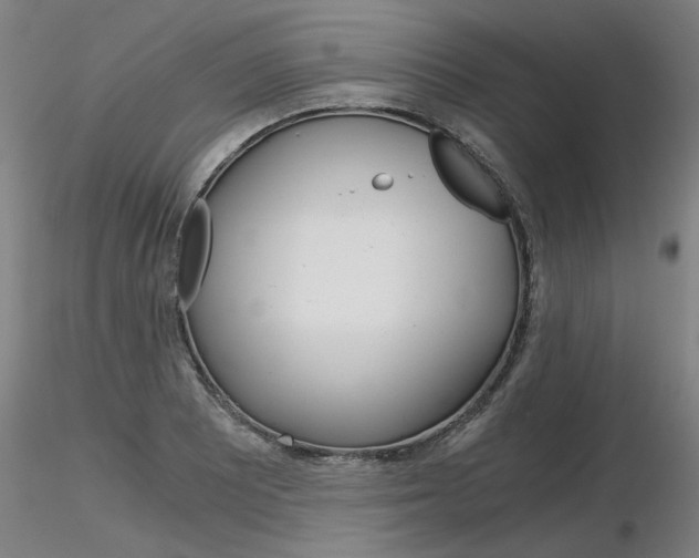 X0000116801081200912181112