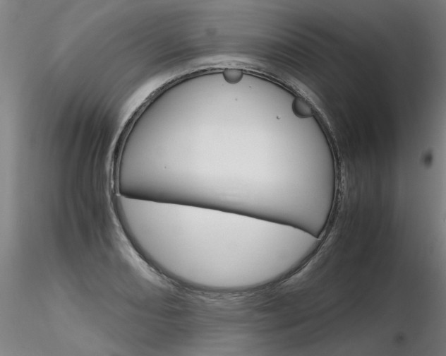 X0000116801082200912181112