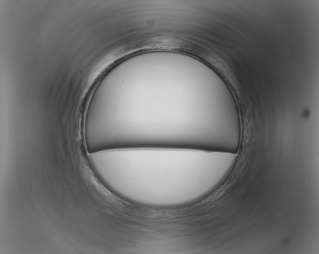 X0000116801083200912181112