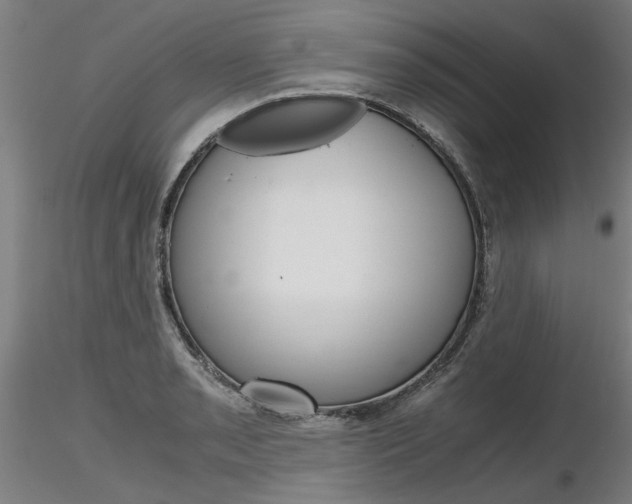 X0000116801085200912181112