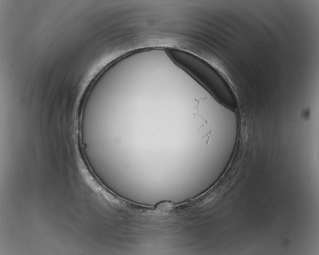 X0000116801088200912181112
