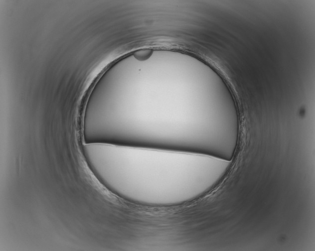 X0000116801091200912181112