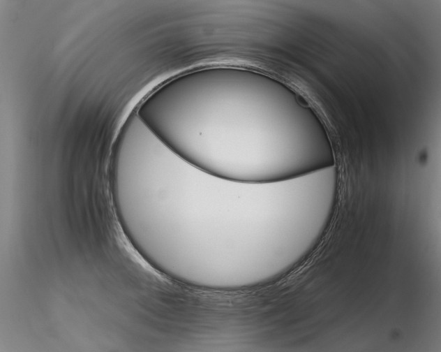 X0000116801092200912181112