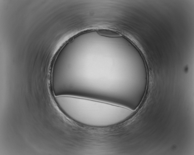 X0000116801093200912181112