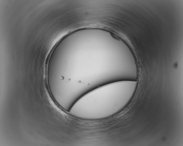 X0000116801095200912181112