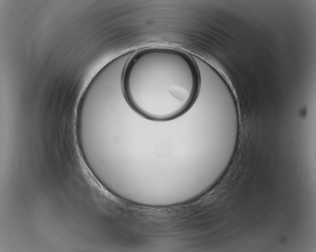 X0000116801096200912181112