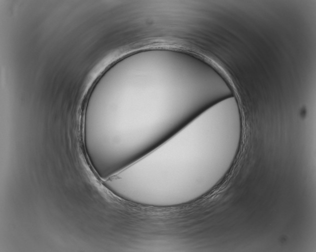 X0000116801099200912181112