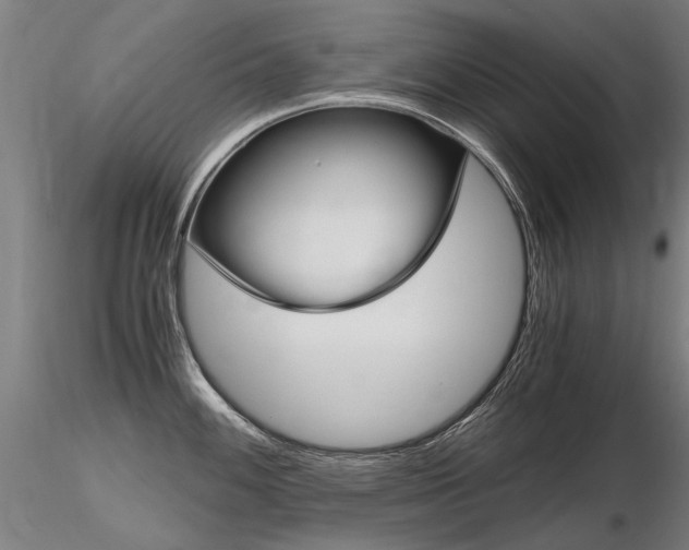X0000116801100200912181112