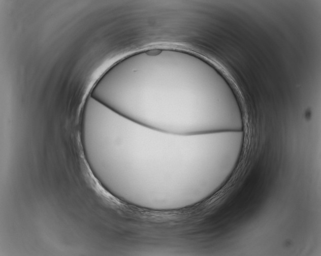 X0000116801102200912181112