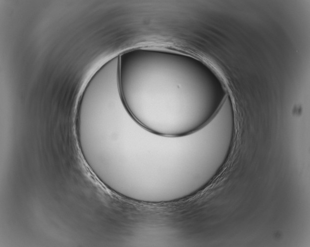X0000116801104200912181112