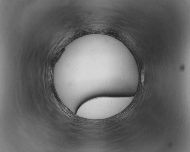 X0000116801107200912181111
