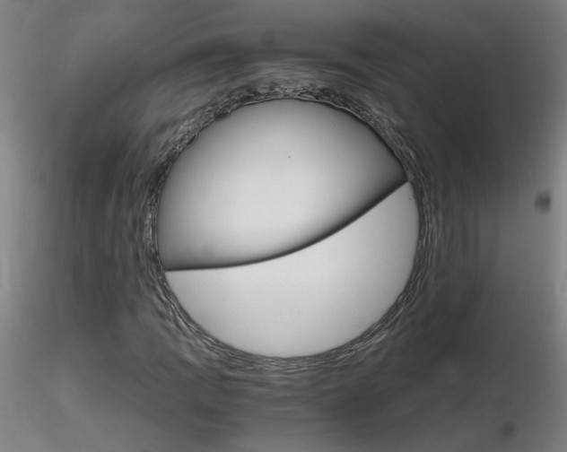 X0000116801109200912181111