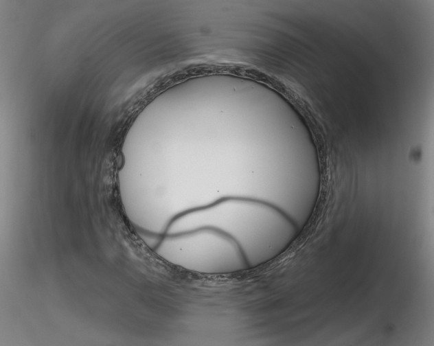 X0000116801110200912181111