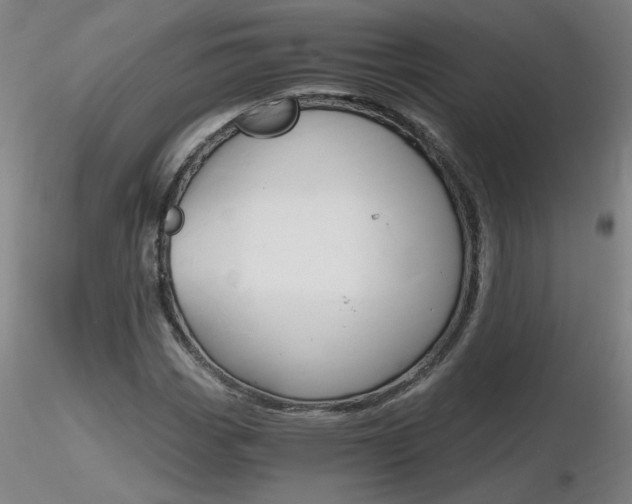X0000116801113200912181111