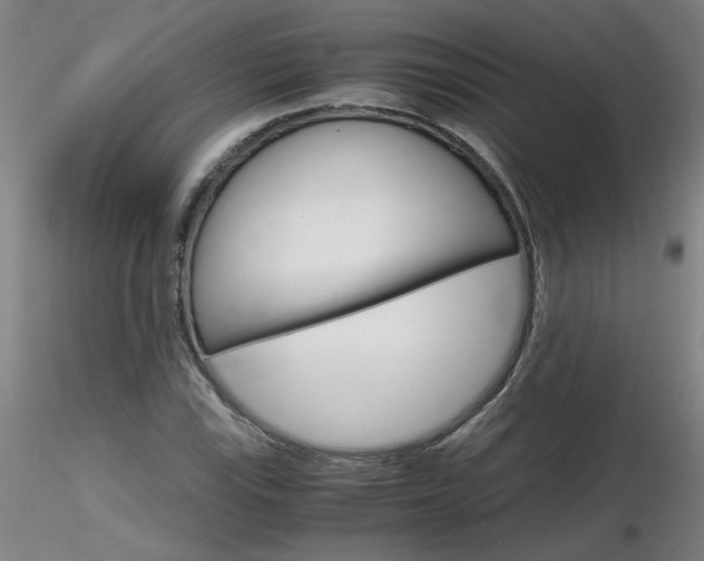 X0000116801115200912181111