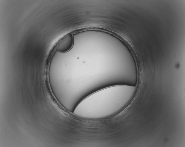 X0000116801119200912181112