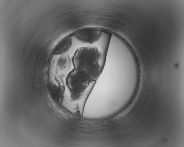X0000116801121200912181112