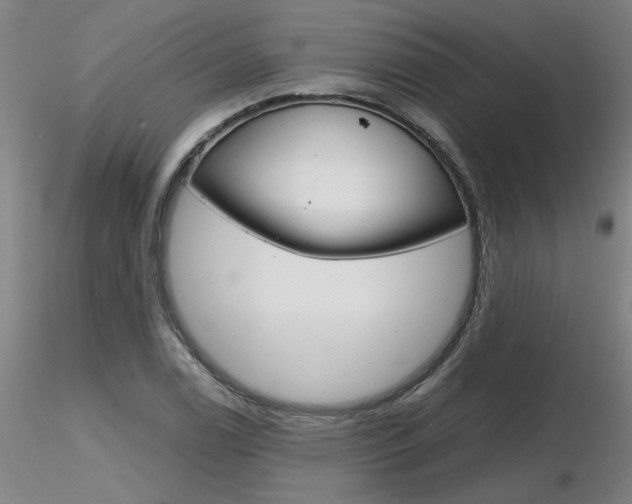 X0000116801122200912181112