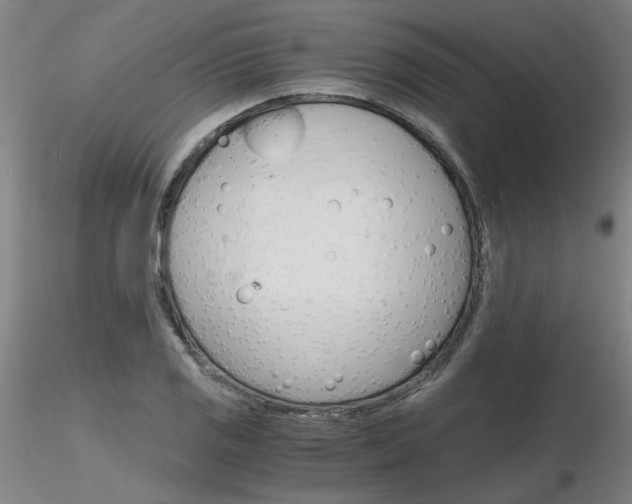 X0000116801125200912181112