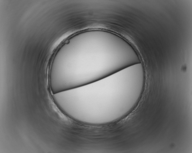 X0000116801127200912181112