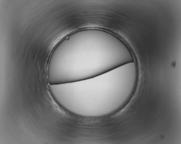 X0000116801129200912181112