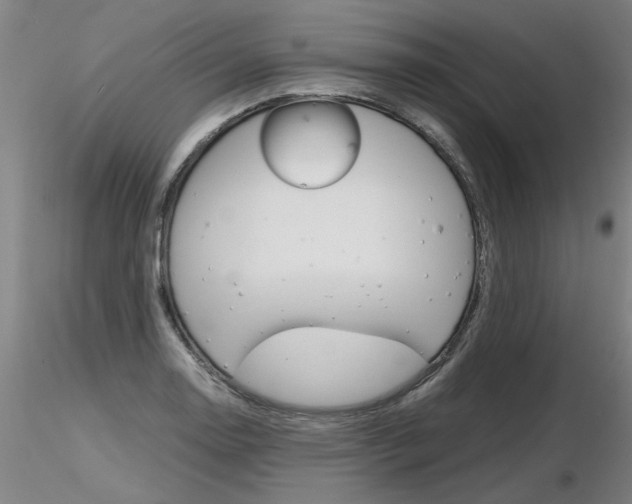 X0000116801130200912181112