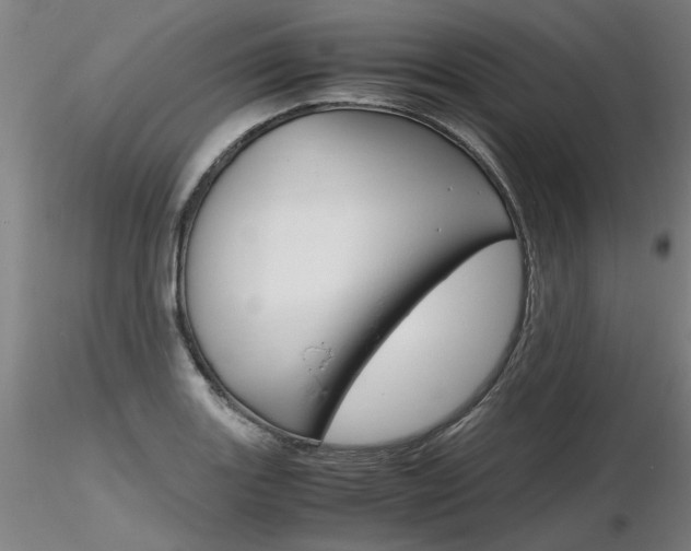 X0000116801131200912181112