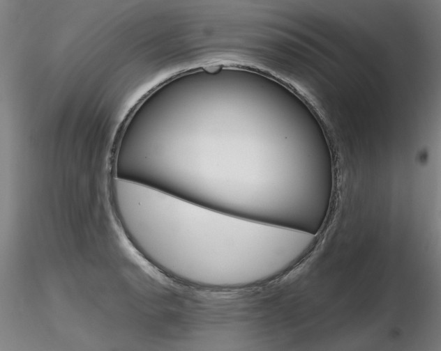 X0000116801134200912181112