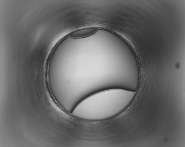 X0000116801135200912181112