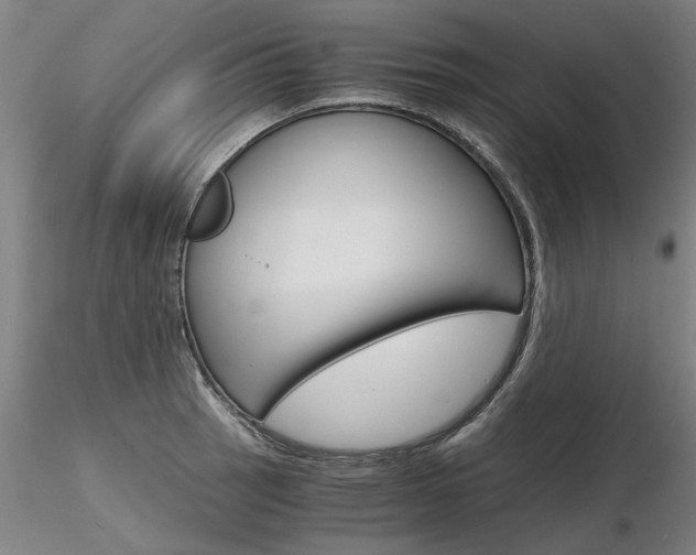 X0000116801137200912181112